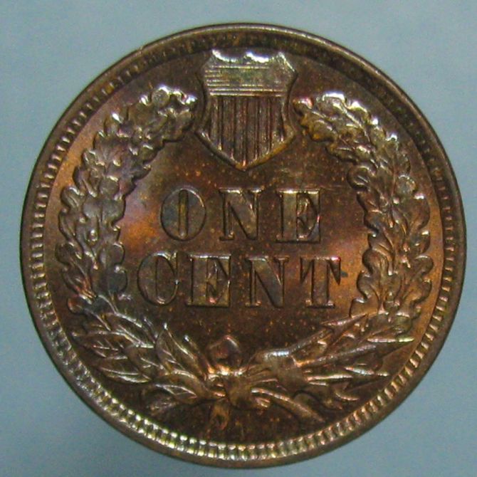 1901-Indian-Head-Cent---Any-Chance-This-Is-A-Proof?